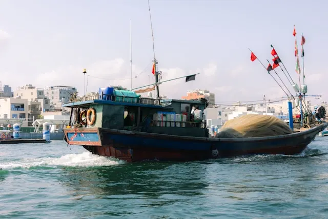 Vận chuyển lúa đến nhà máy<br />