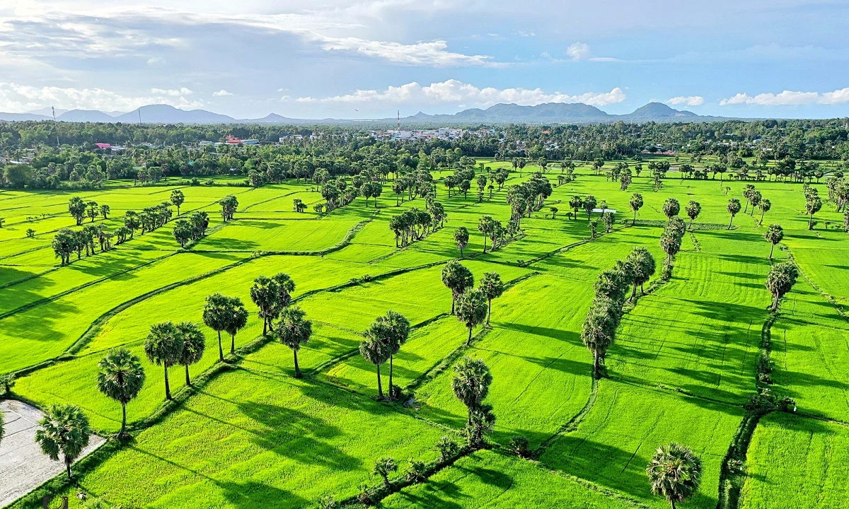 More productive with an atmosphere of greenery